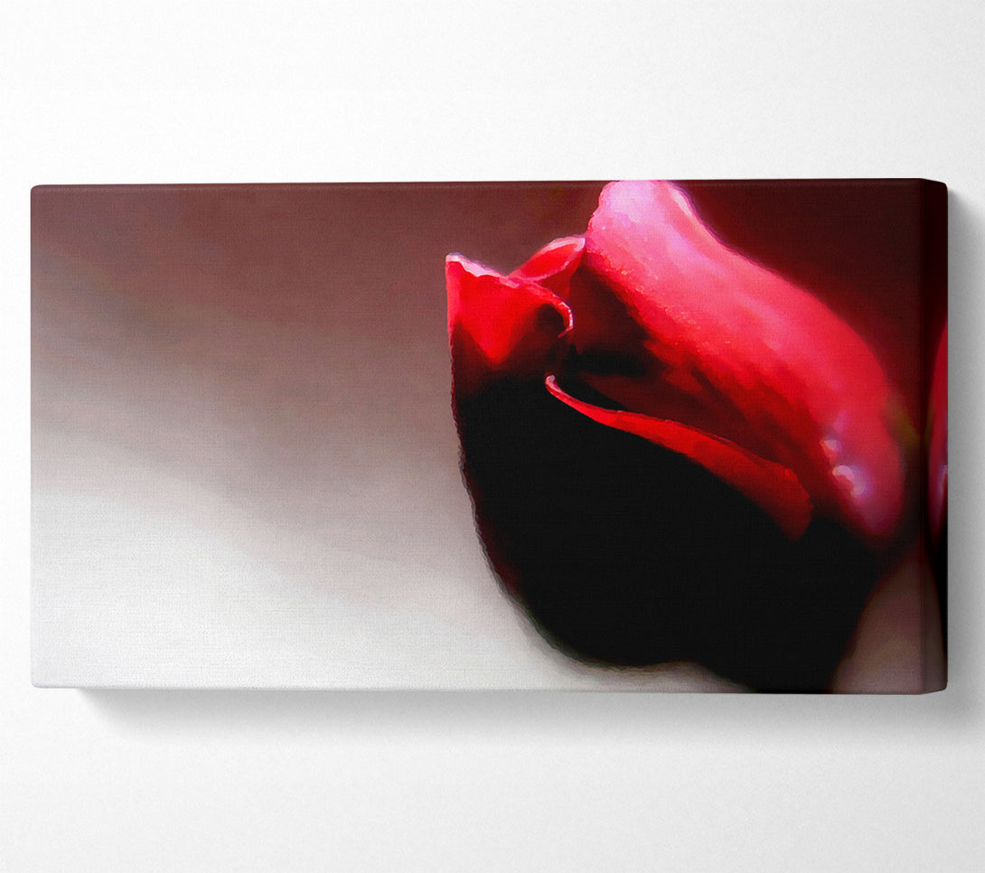  A Canvas Print of Visions Of A Rose Canvas Print
