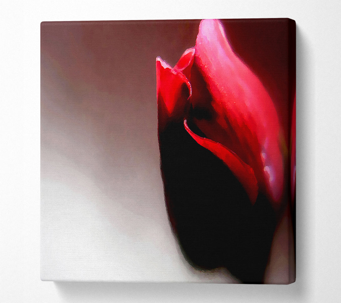  A Canvas Print of Visions Of A Rose Canvas Print