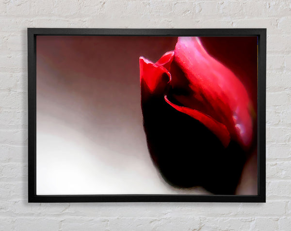 Visions Of A Rose Framed Print