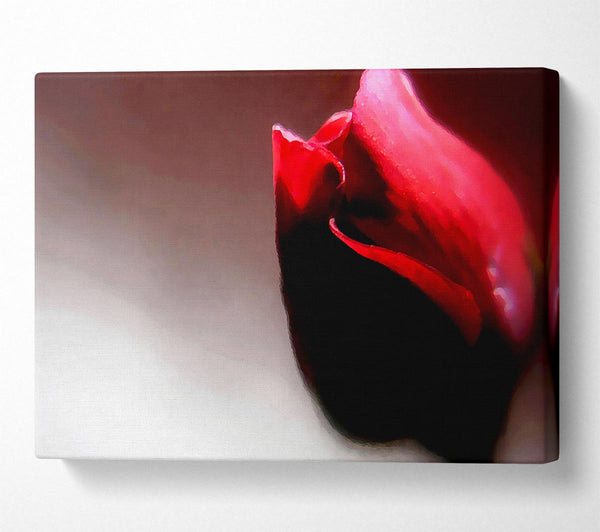 A Canvas Print of Visions Of A Rose Canvas Print
