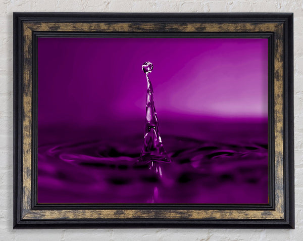 Water Drop Attention Purple Framed Print