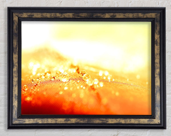 Water Resistant Framed Print