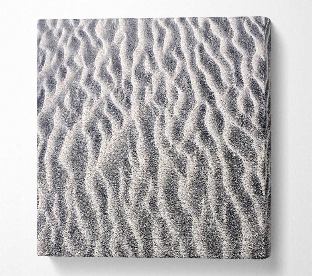  A Canvas Print of White Desert Sand Canvas Art