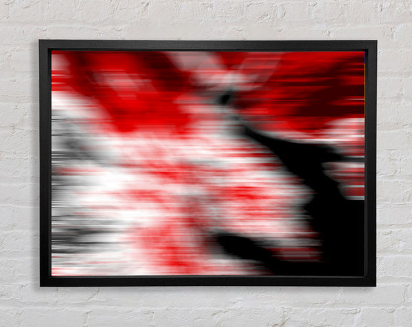 Wolf In The Night Framed Print