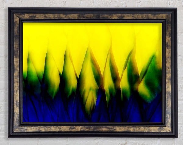 Yellow Takes Blue Framed Print