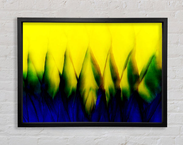 Yellow Takes Blue Framed Print