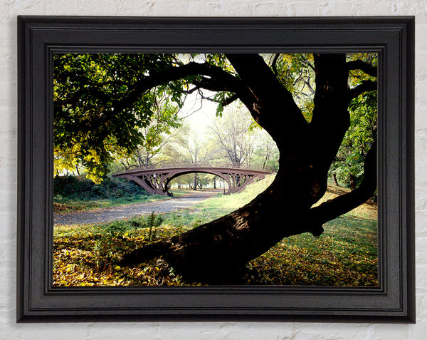 Central Park Bridge New York City Framed Print