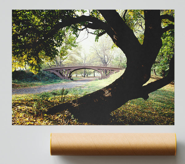 Central Park Bridge New York City Poster