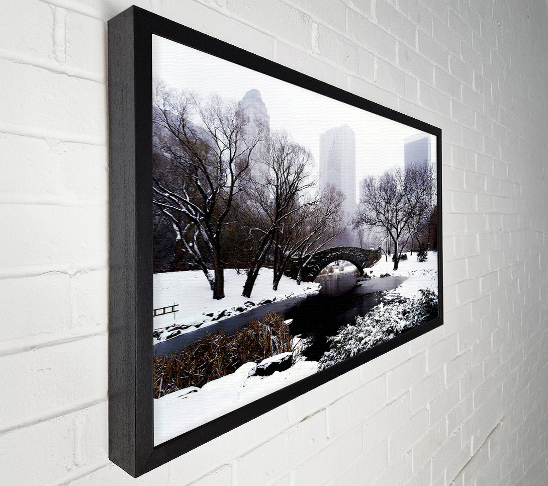  A Canvas Print of Central Park In Winter Canvas Print