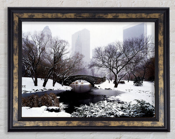 Central Park In Winter Framed Print