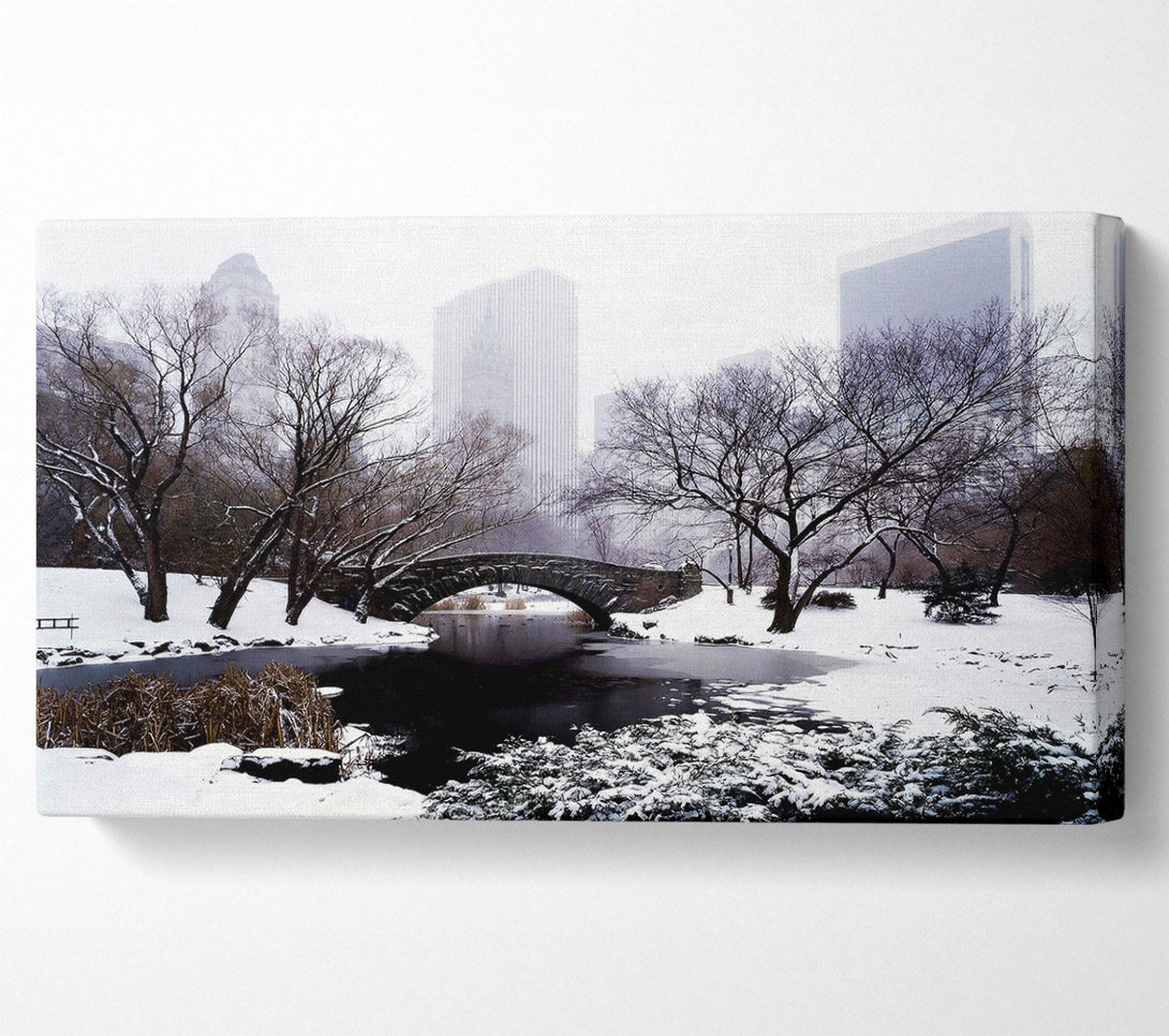  A Canvas Print of Central Park In Winter Canvas Print