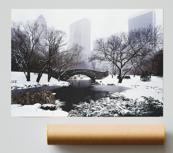 Central Park In Winter Poster