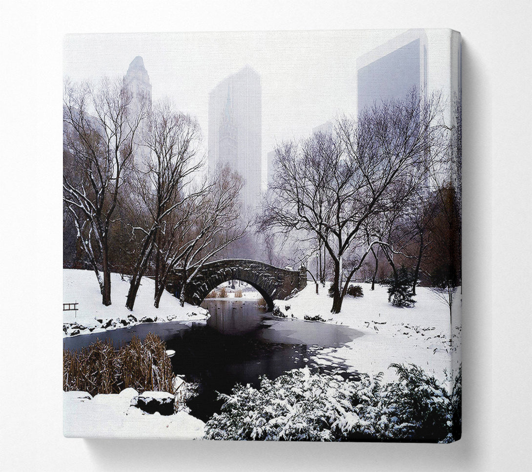  A Canvas Print of Central Park In Winter Canvas Print