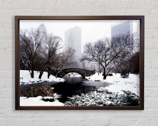 Central Park In Winter Framed Print