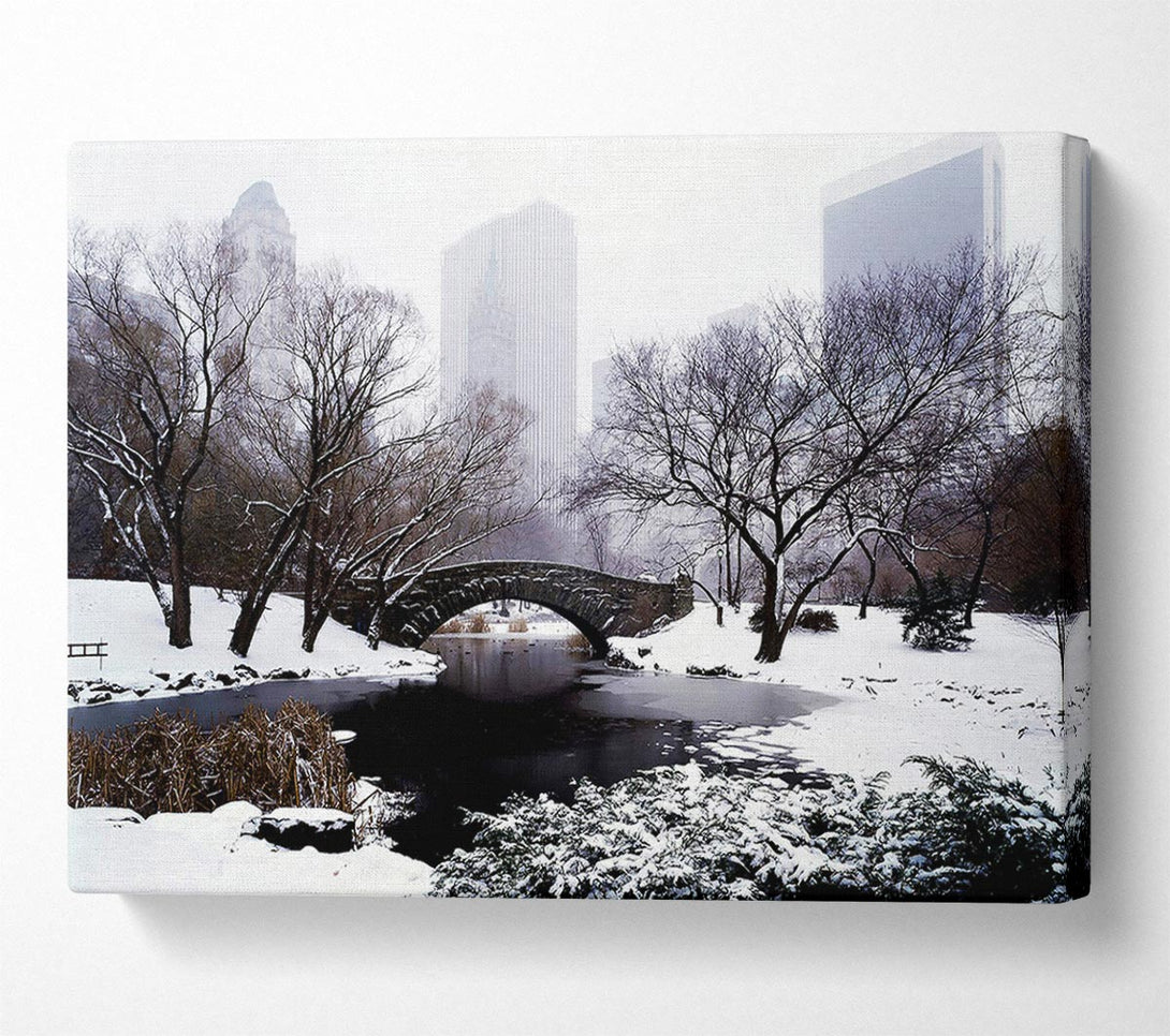  A Canvas Print of Central Park In Winter Canvas Print