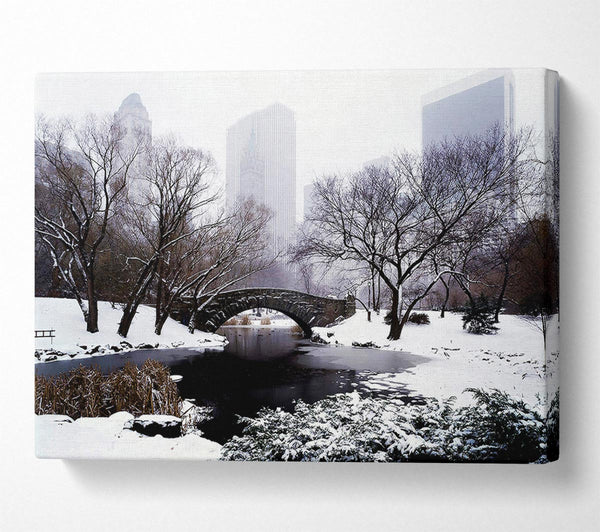  A Canvas Print of Central Park In Winter Canvas Print