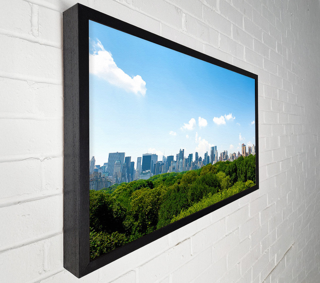  A Canvas Print of Central Park New York City Canvas Art