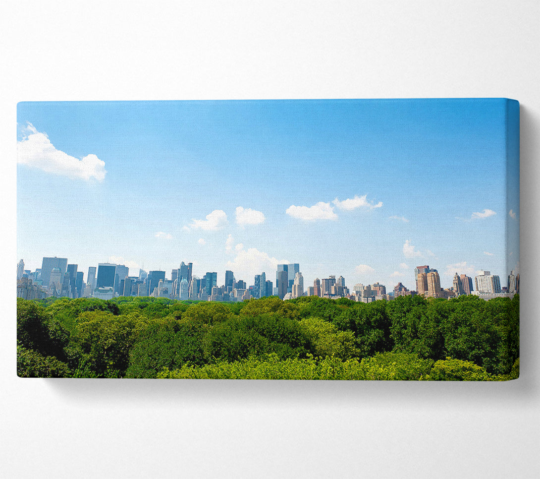  A Canvas Print of Central Park New York City Canvas Art