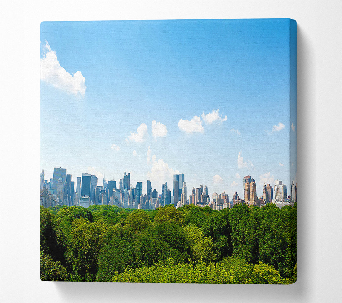 A Canvas Print of Central Park New York City Canvas Art