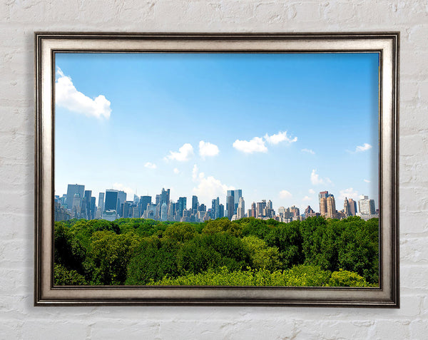 Central Park New York City Framed Print