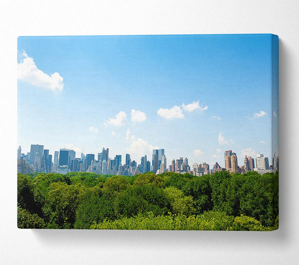  A Canvas Print of Central Park New York City Canvas Art