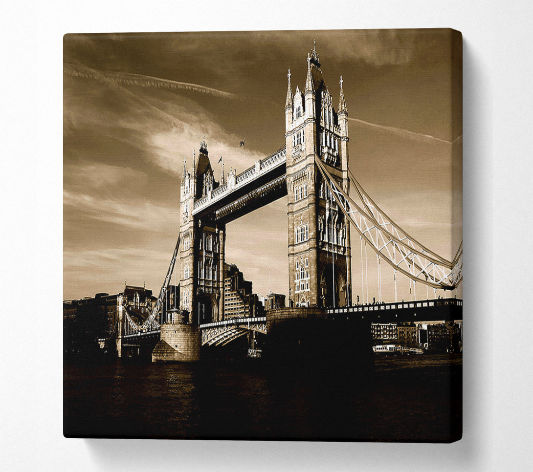  A Canvas Print of London Brown Beauty Canvas Wall Art