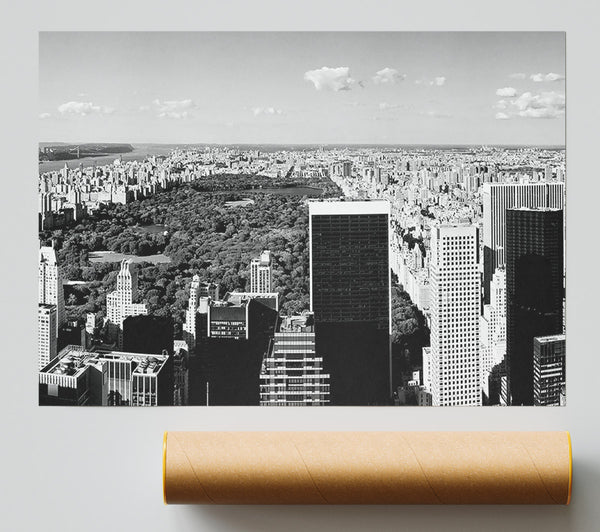 Central Park New York B N W Print