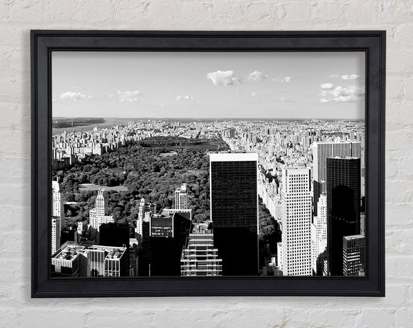 Central Park New York B n W Framed Print