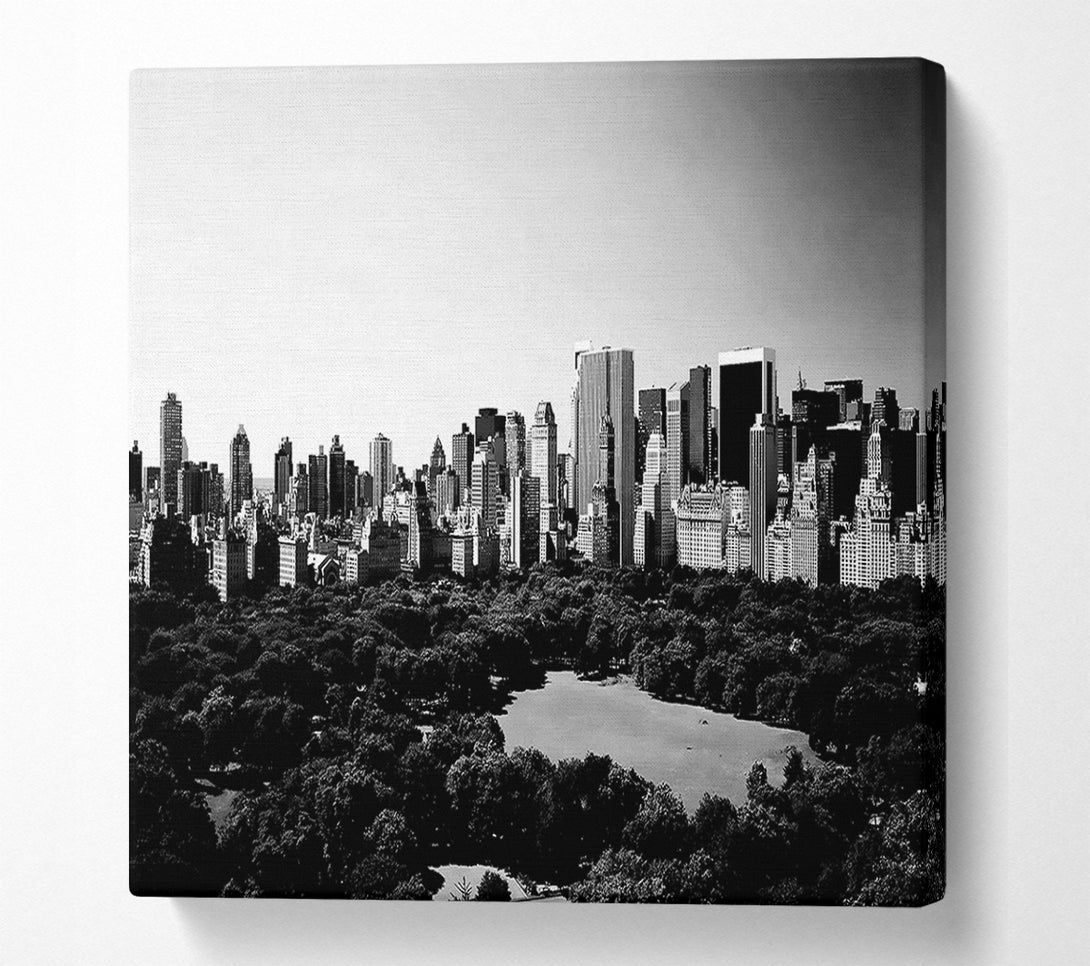  A Canvas Print of New York City Central Park From Above B n W Canvas Print