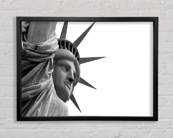Statue Of Liberty Close-up Framed Print