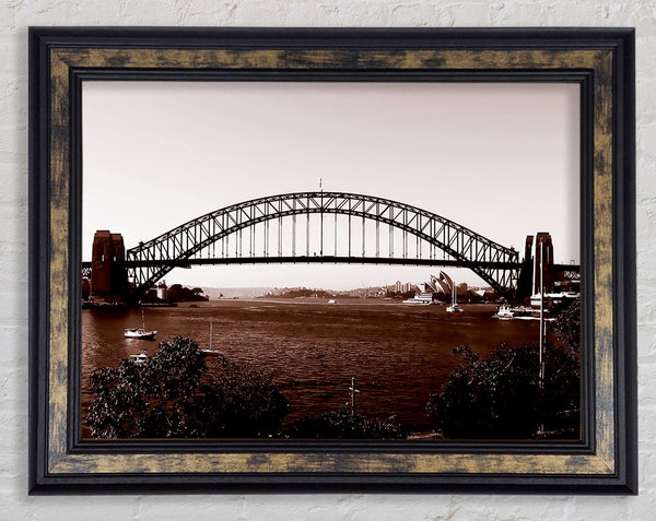 Sydney Harbour Bridge Brown Framed Print