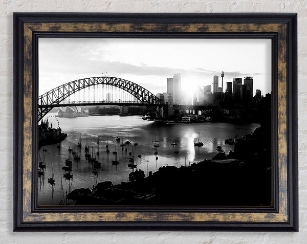 Sydney Harbour Sun Blaze B n W Framed Print