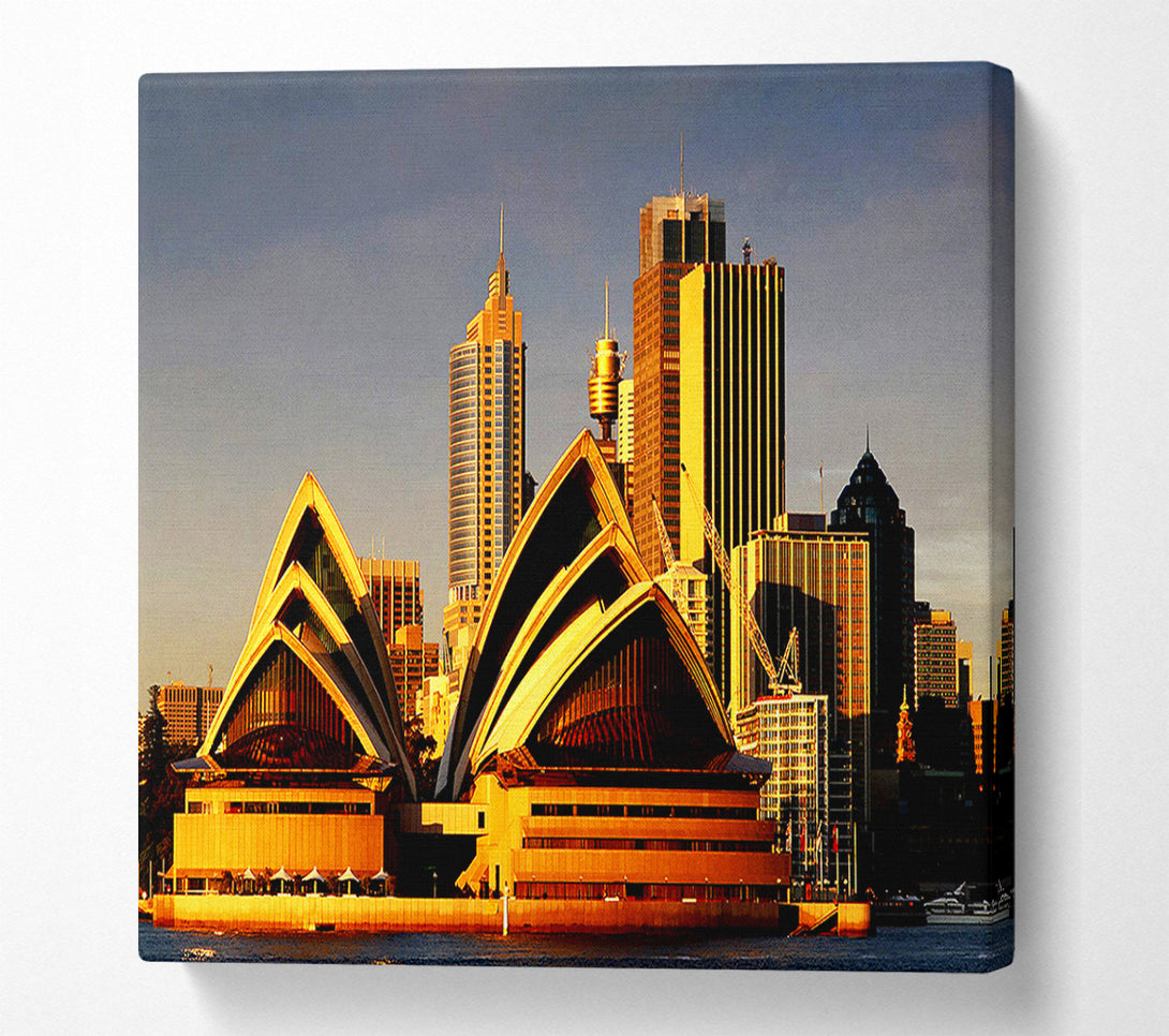  A Canvas Print of Sydney Opera House Golden Sunlight Canvas Art