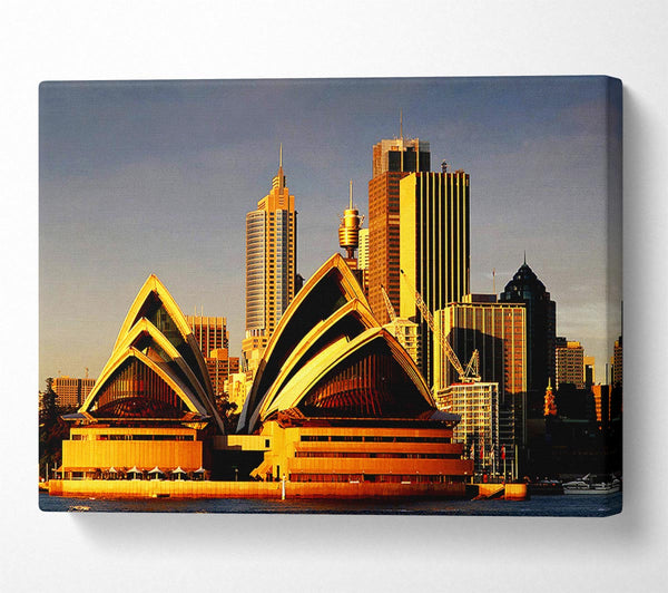  A Canvas Print of Sydney Opera House Golden Sunlight Canvas Art