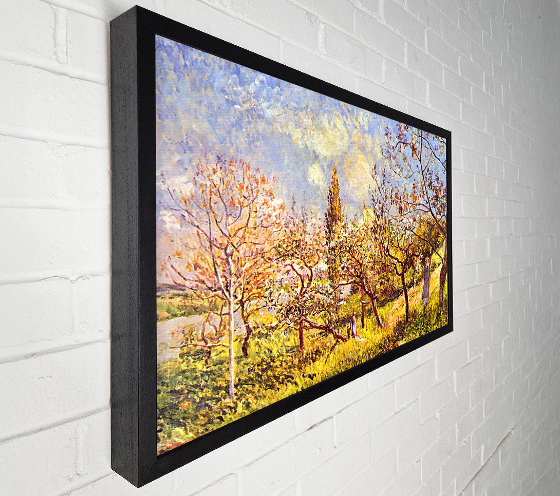  A Canvas Print of Sisley An Orchard In Spring Canvas Wall Art