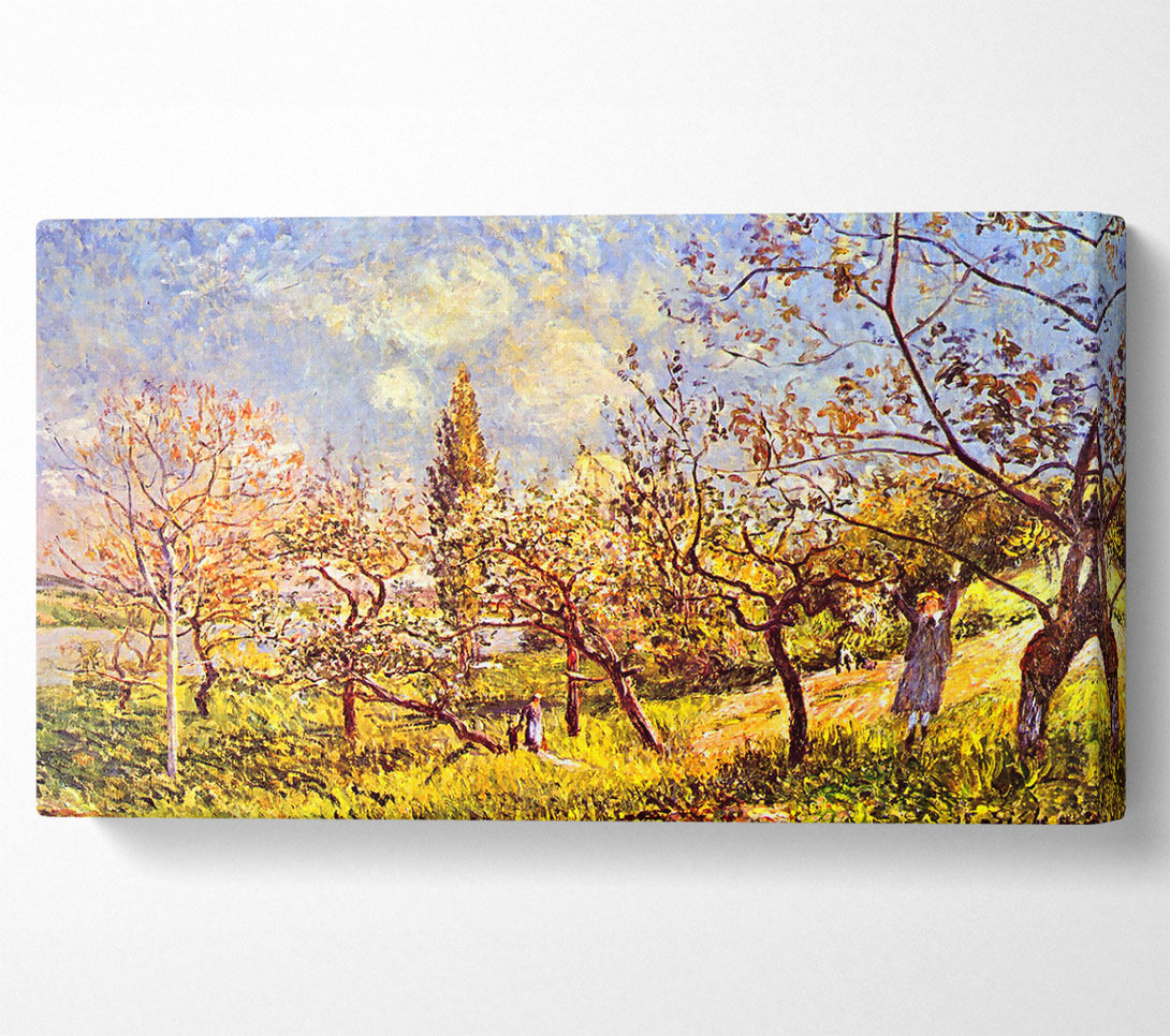 A Canvas Print of Sisley An Orchard In Spring Canvas Wall Art