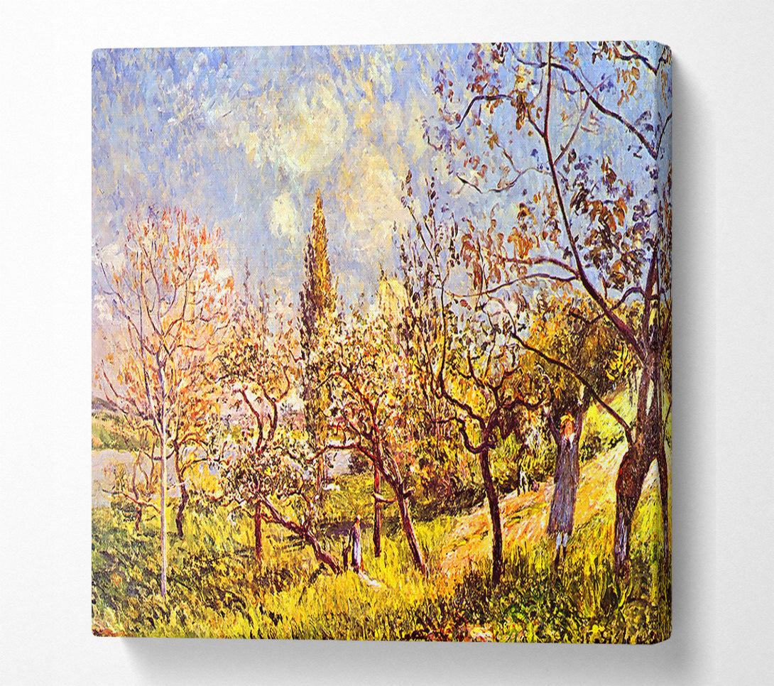  A Canvas Print of Sisley An Orchard In Spring Canvas Wall Art