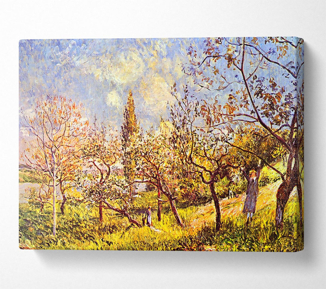  A Canvas Print of Sisley An Orchard In Spring Canvas Wall Art
