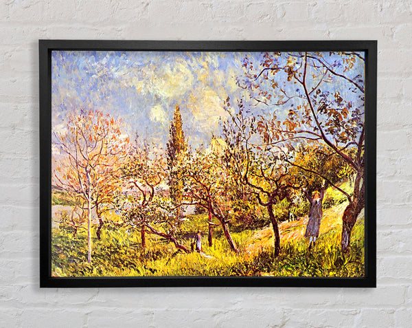 Sisley An Orchard In Spring Framed Print