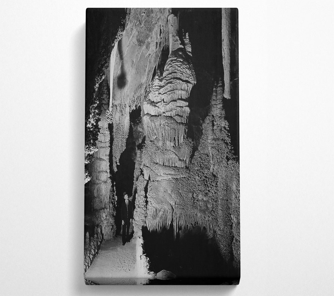  A Canvas Print of Ansel Adams Carlsbad Caverns National Park New Mexico 2 Canvas Art