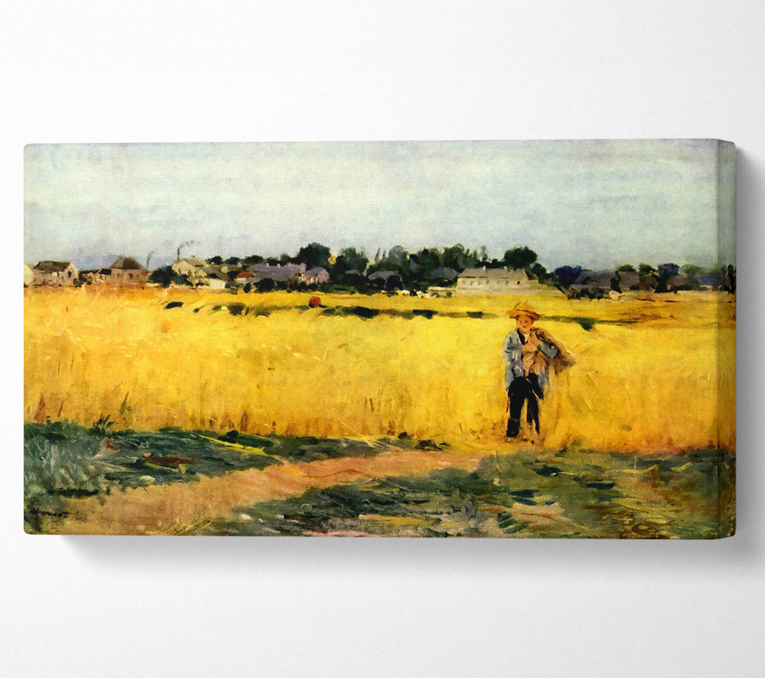  A Canvas Print of Morisot Cornfield Canvas Art