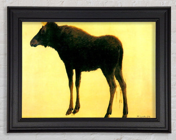 Bierstadt Elk Framed Print