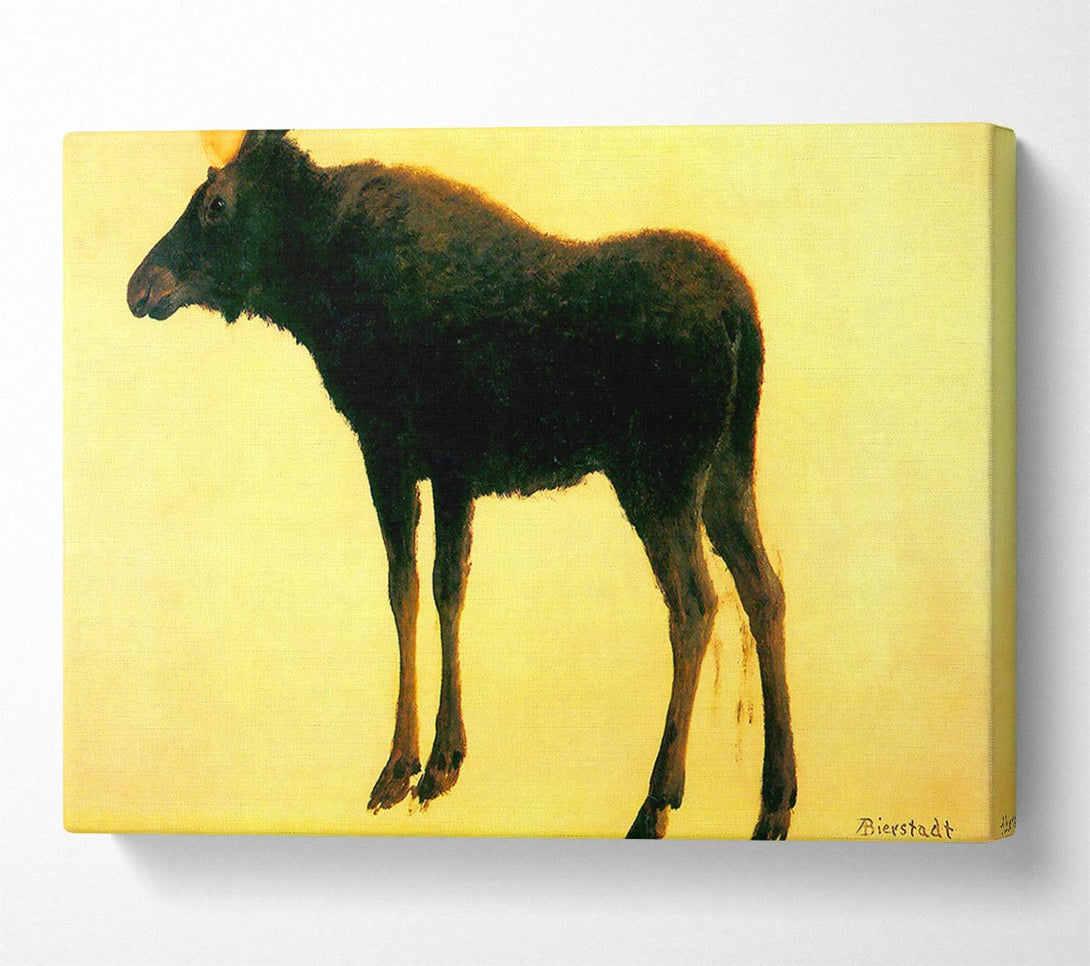  A Canvas Print of Bierstadt Elk Canvas Wall Art