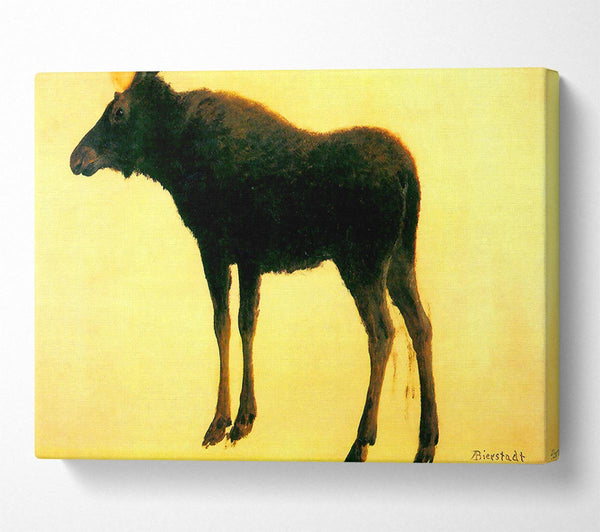  A Canvas Print of Bierstadt Elk Canvas Wall Art