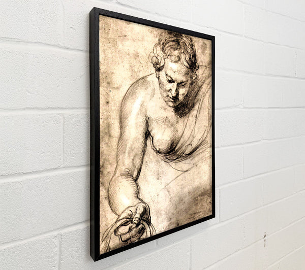 Rubens Female Figure