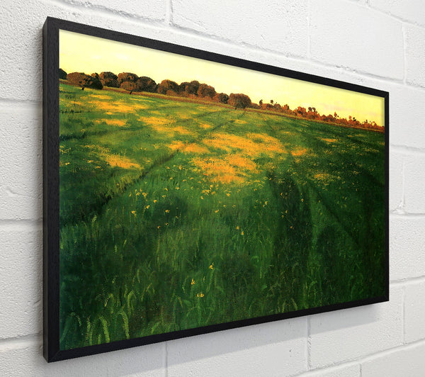 Felix Vallotton Field Of Green Oats