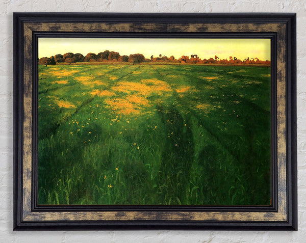 Felix Vallotton Field Of Green Oats Framed Print