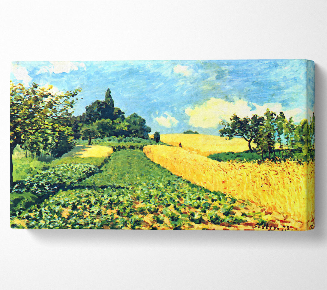  A Canvas Print of Sisley Grain Fields On The Hills Of Argenteuil Canvas Print