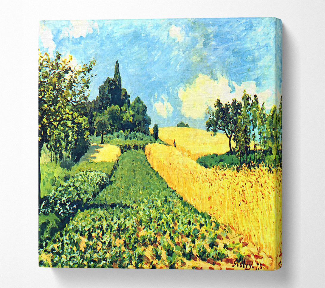  A Canvas Print of Sisley Grain Fields On The Hills Of Argenteuil Canvas Print