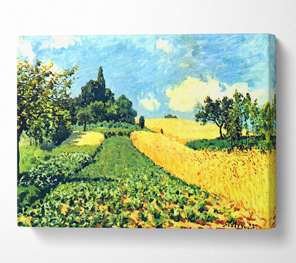  A Canvas Print of Sisley Grain Fields On The Hills Of Argenteuil Canvas Print